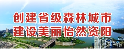 www.AV逼逼网创建省级森林城市 建设美丽怡然资阳